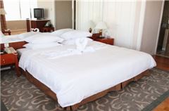 Business Queen Room