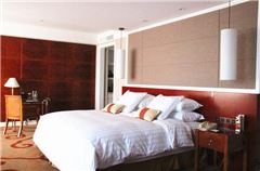Deluxe Business Queen Room