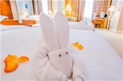 Deluxe Family Suite