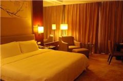 City-view Standard Suite