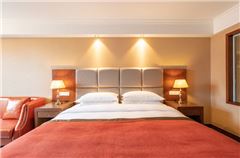 Boutique Business Deluxe Queen Room