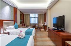 Deluxe Business Twin Room