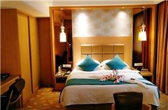 Apartment Suite