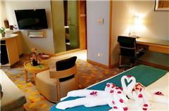 Apartment Suite