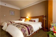 Executive City-view Room