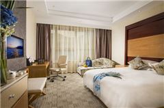 Executive Queen Room
