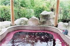 Jade Emperor Duplex Sutie