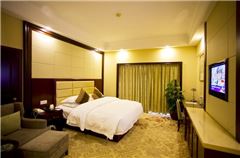 Business Single  Room