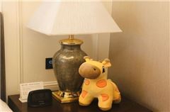 Rubber Duck Thematic Room