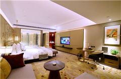 Executive Queen Room