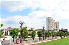 Surroundings