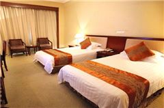 Executive Twin Room