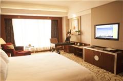 Executive Queen Room