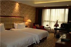 Executive Twin Room