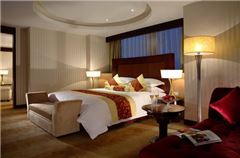MINI Suite