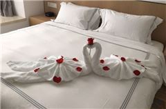 Deluxe Queen Room Apartment
