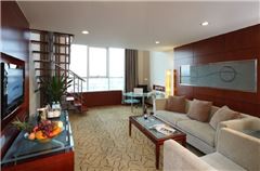 Executive Multi-level Suite