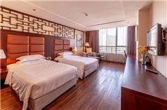 Business Twin Room