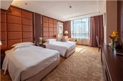 Business Twin Room