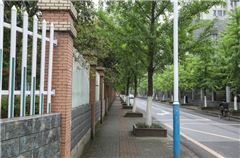 Surroundings