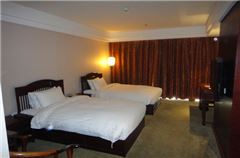 View Twin Room