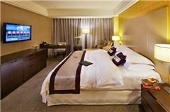 Elite Executive Suite
