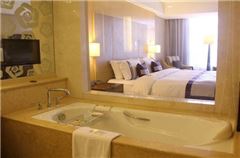 Elite Family Room