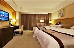 Elegant Twin Room