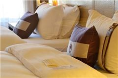 Elegant Twin Room