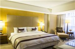 Elite Superior Suite