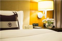 Elite Superior Suite