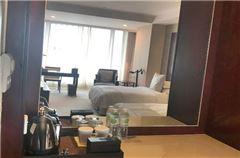 Executive Business Twin Room