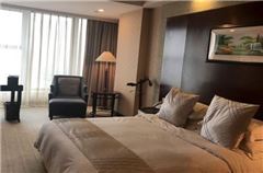 Executive Business Queen Room