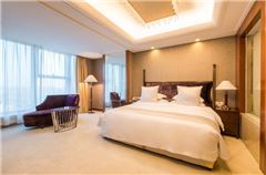 Grace Extreme Suite