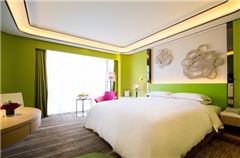 Extreme Room