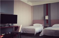 Executive Twin Room