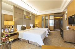 Deluxe Elegant Twin Room