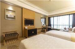 Deluxe Elegant Twin Room