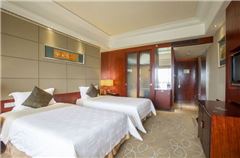 Superior Elegant Twin Room