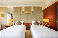 Superior Elegant Twin Room