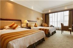 Business Twin Room
