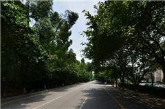 Surroundings
