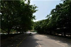 Surroundings