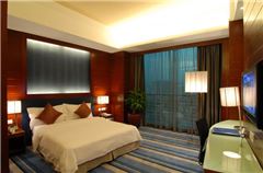 Apartment Suite
