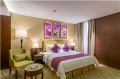 Apartment Suite