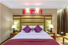 Business Suite