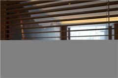 Executive Twin Room