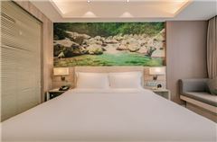 Elegant Queen Room