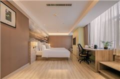 Executive Twin Room
