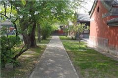 Family Courtyard Suit